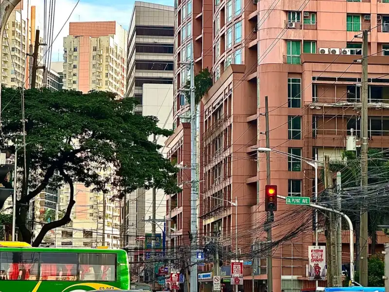 Philippines Power Grid Upgrade | Overhead Line Protection Improvement Project